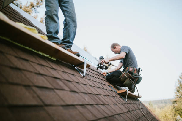 Best Roof Leak Repair  in Marion, IN
